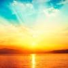 sunny