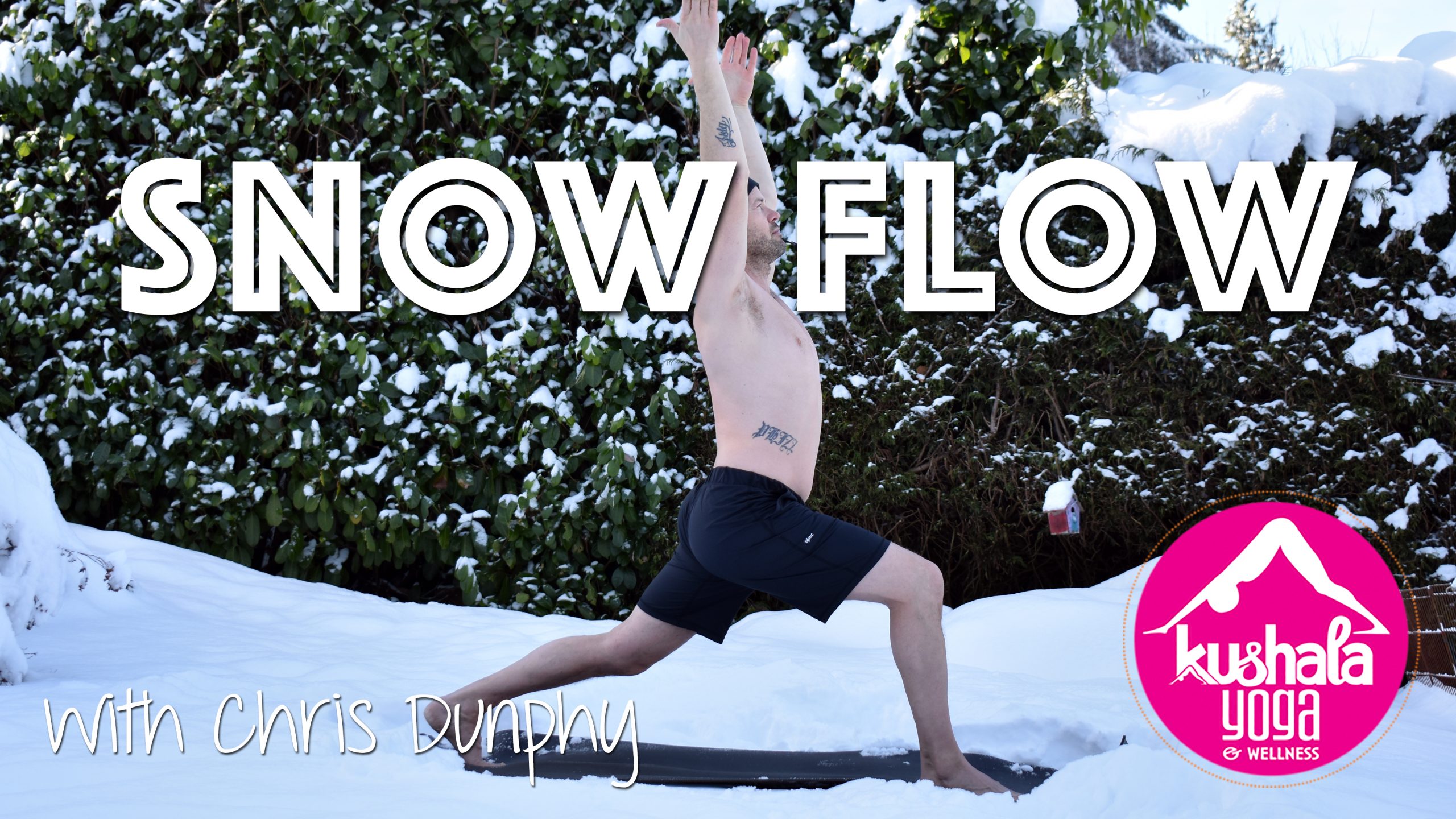 Short n’ Sweet Yoga Part 3 • Snow Flow with Chris Kushala Yoga and