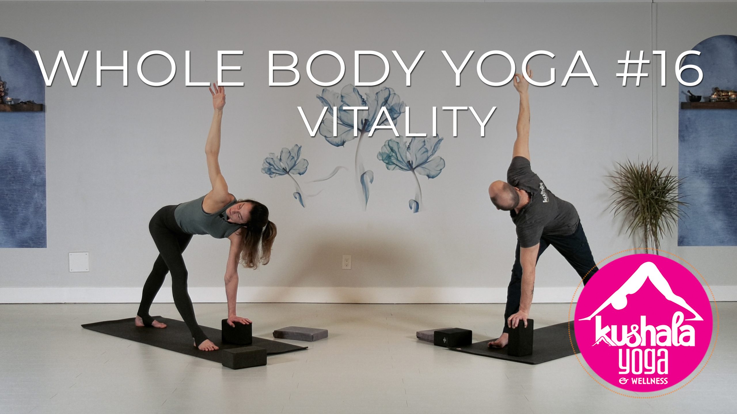 Whole Body Yoga Practice #16 • Vitality – Kushala Yoga and Wellness in Port  Moody
