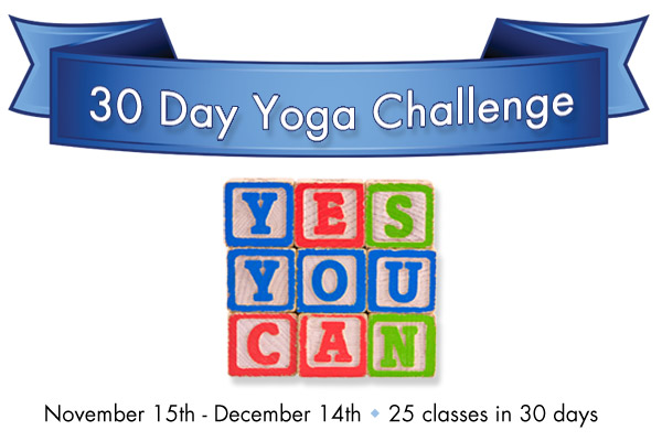 30-Day-Challenge-2010-Website